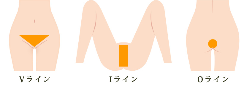 施術範囲